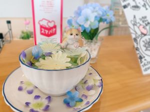 にゃんちゃん